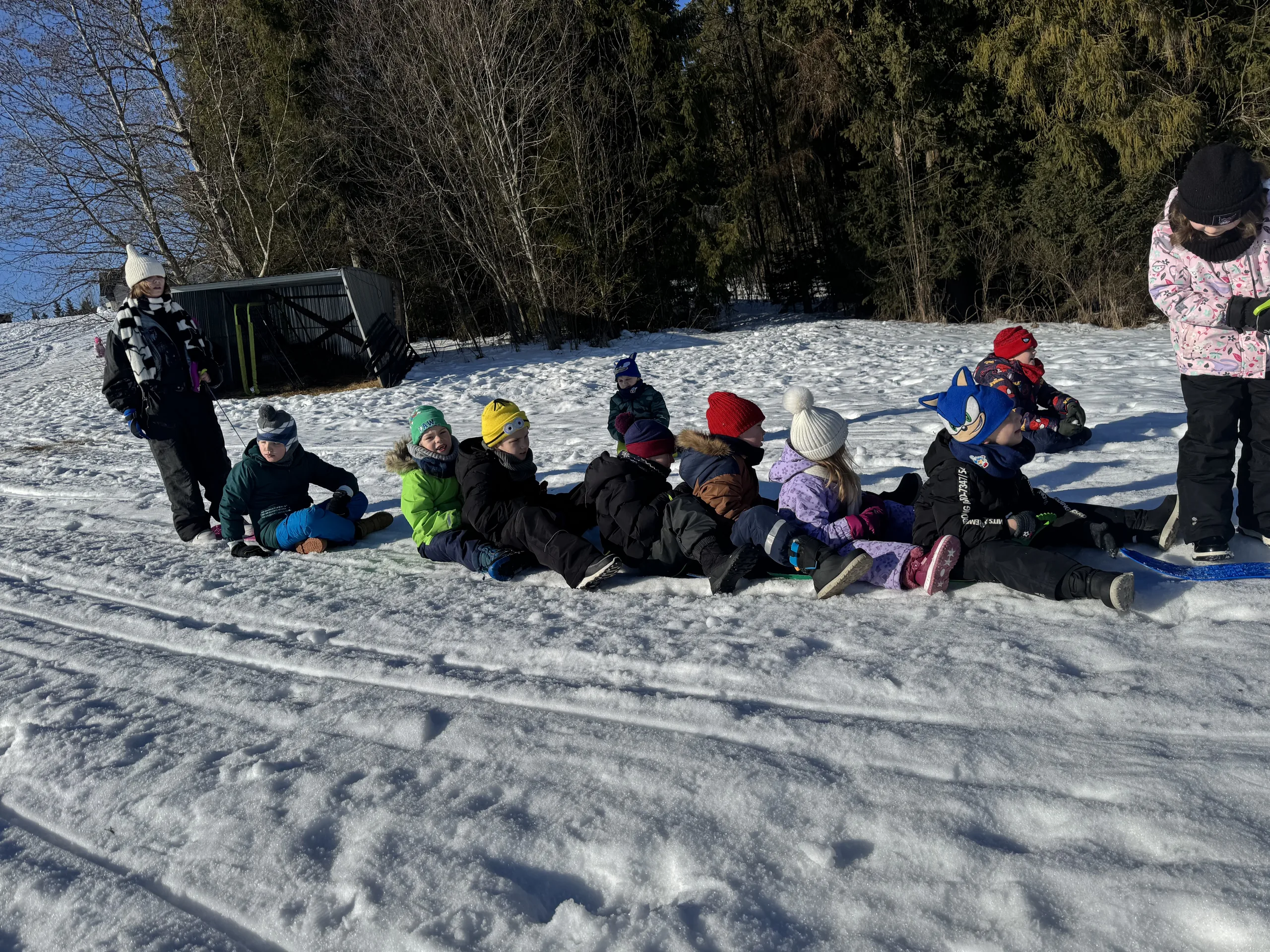 25.01-31.01.2026 Obóz zimowy z psami zaprzęgowymi