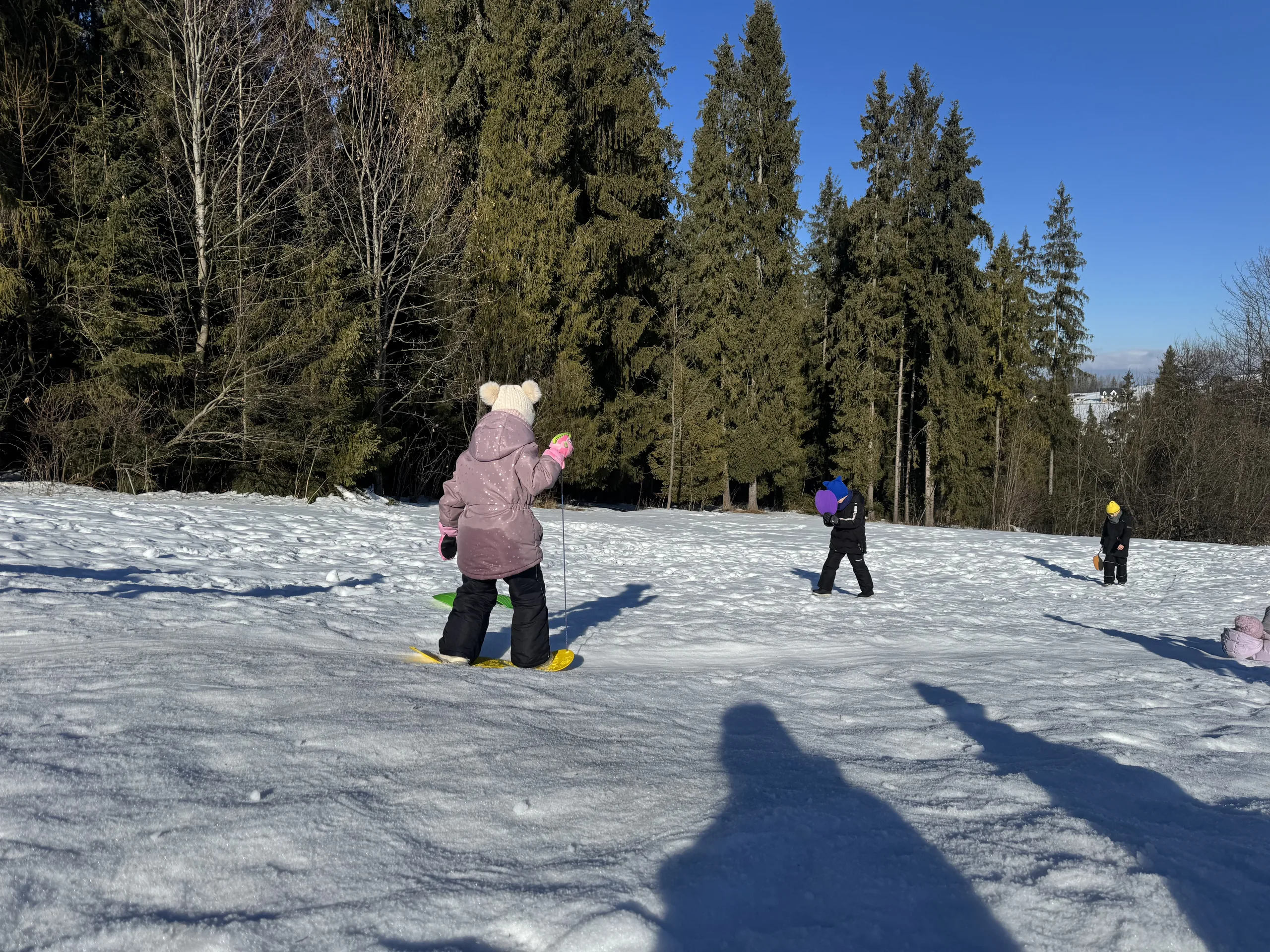 25.01-31.01.2026 Obóz zimowy z psami zaprzęgowymi