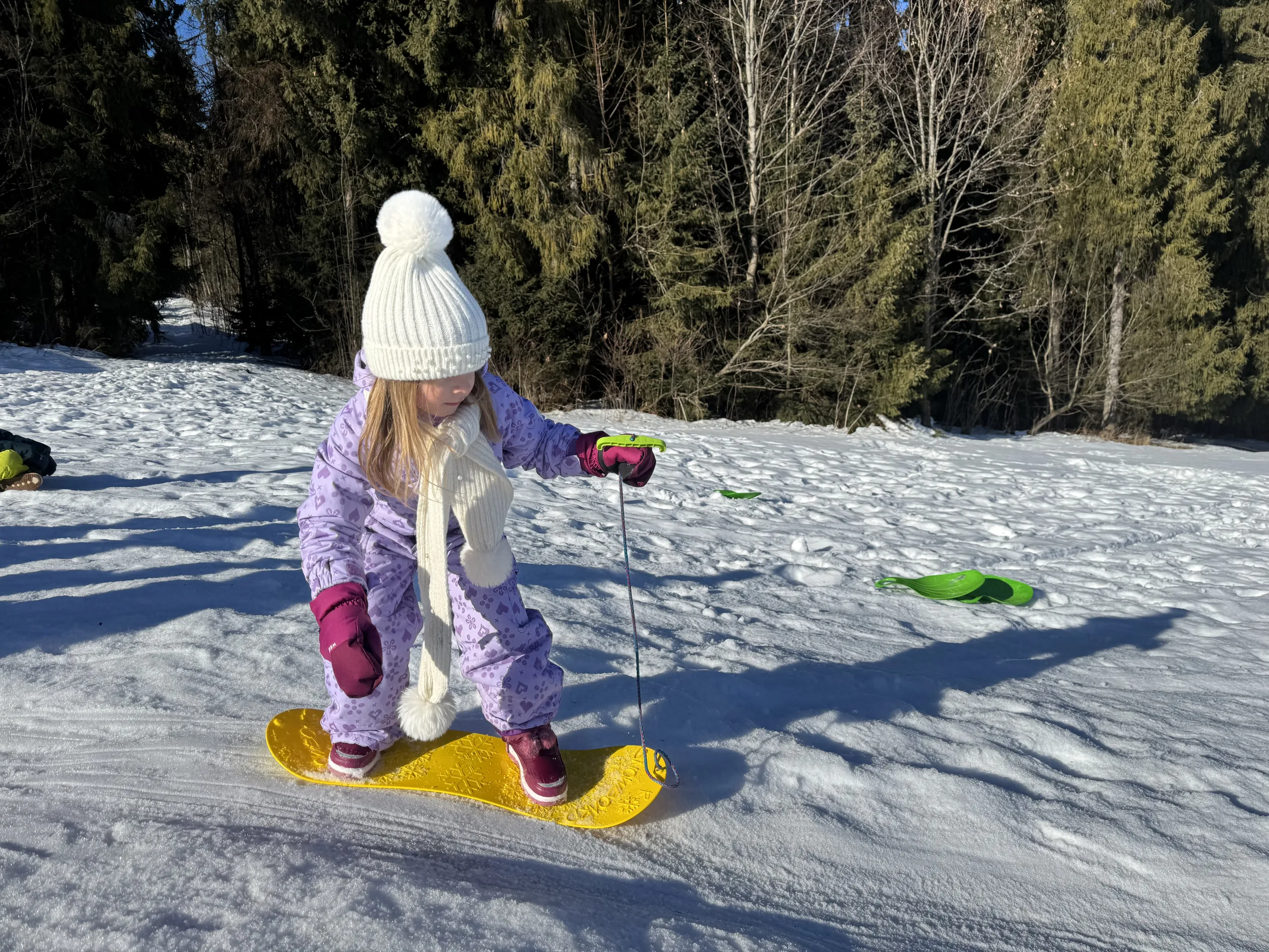 25.01-31.01.2026 Obóz zimowy z psami zaprzęgowymi