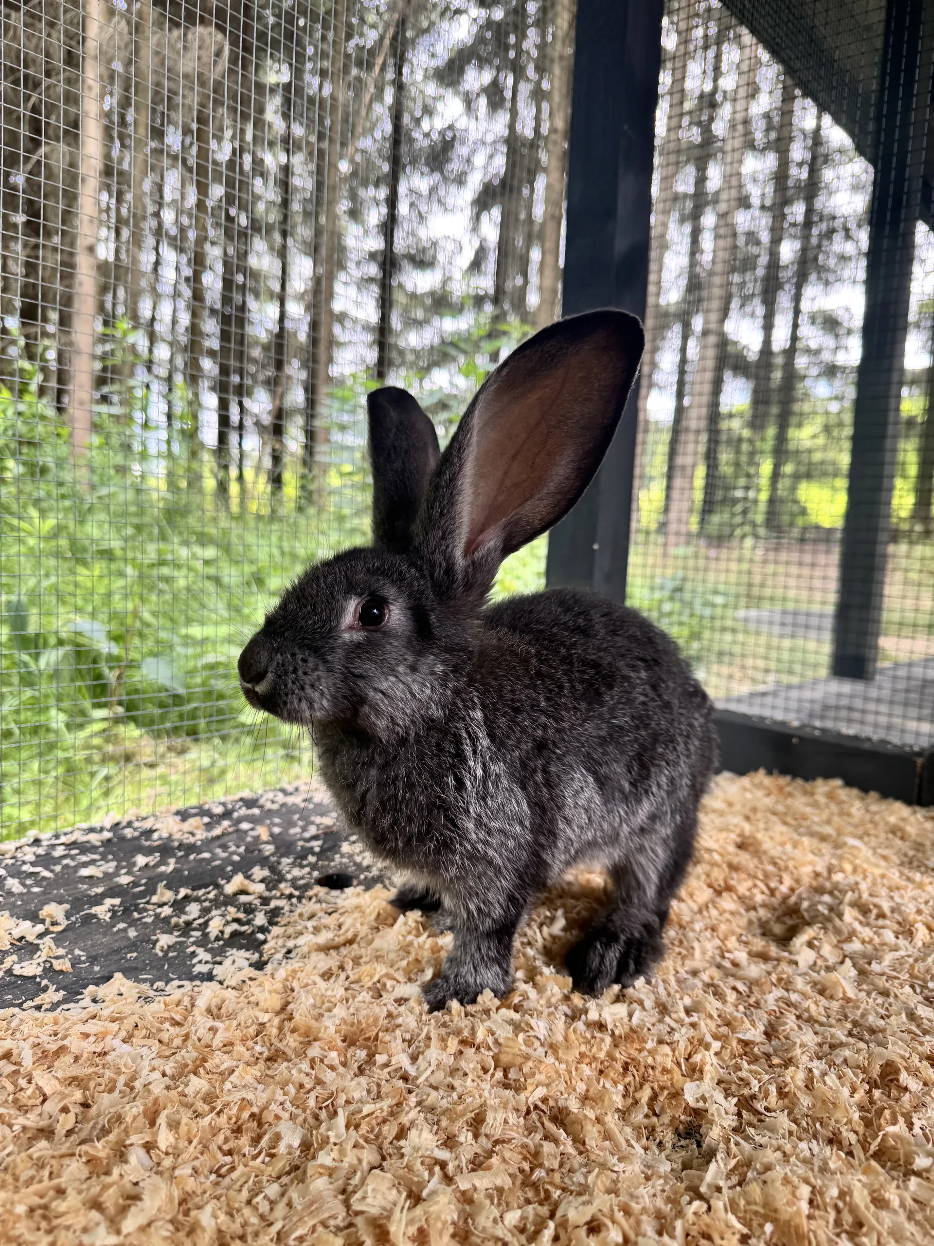 28.06 - 08.07.2025 Obóz rekreacja, survival, motocross w Ogrodnikach