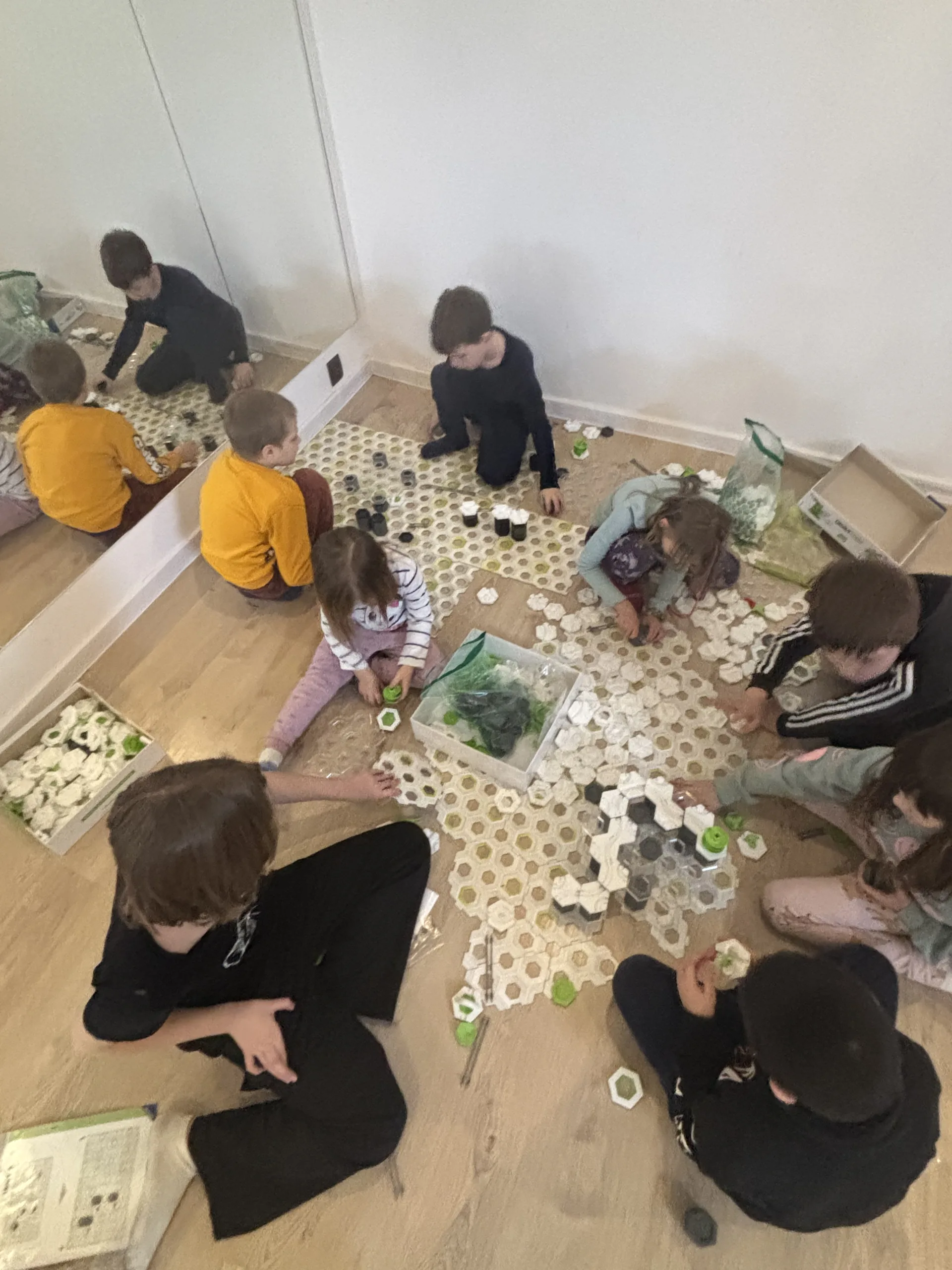 25.01-31.01.2026 Obóz zimowy z psami zaprzęgowymi