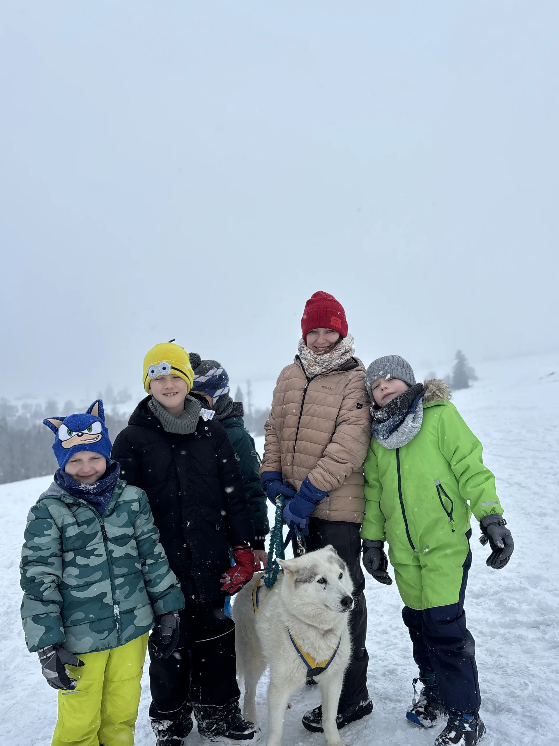 25.01-31.01.2026 Obóz zimowy z psami zaprzęgowymi