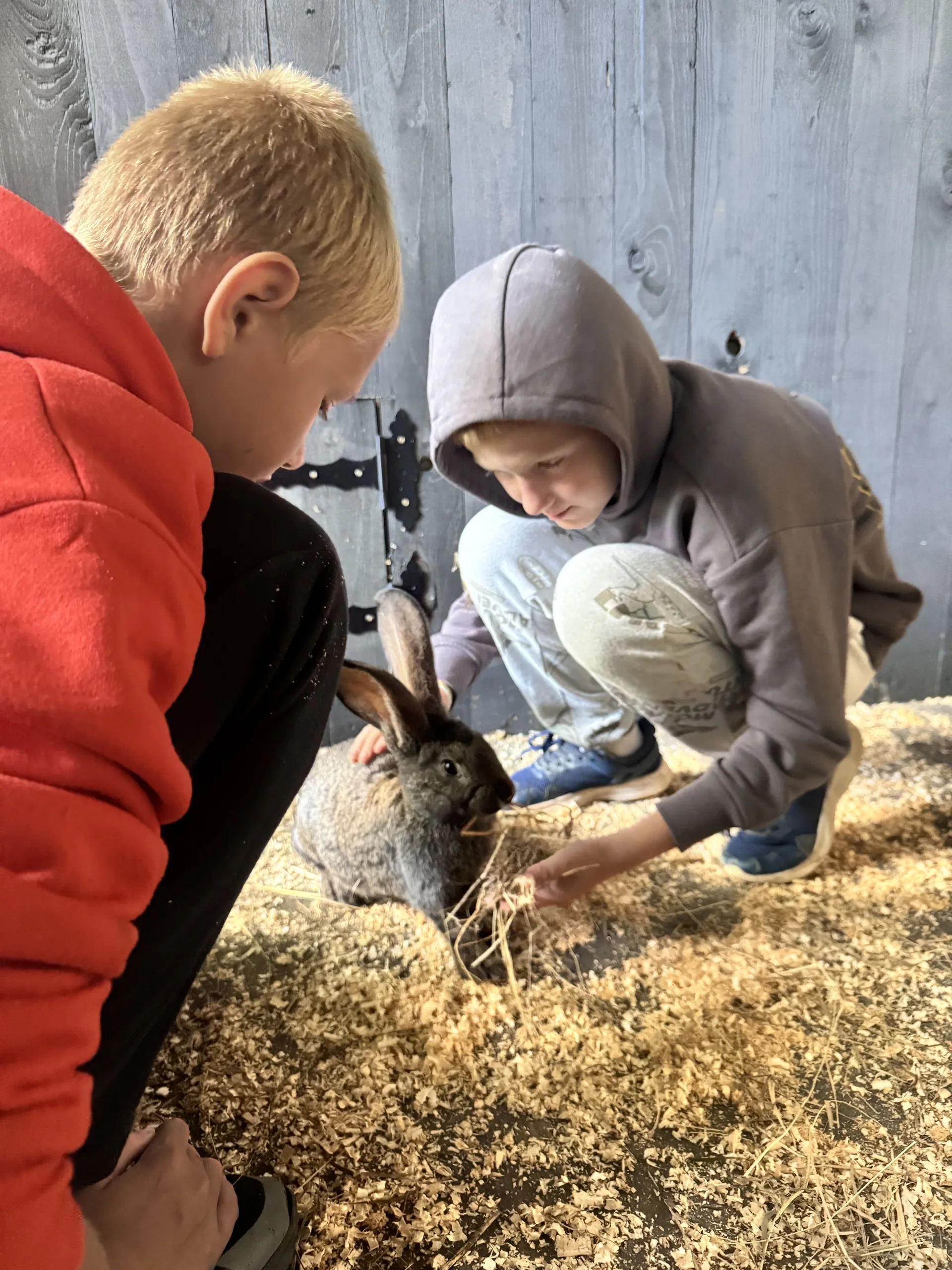 17.08-27.08.2025 Obóz rekreacja, survival, motocross