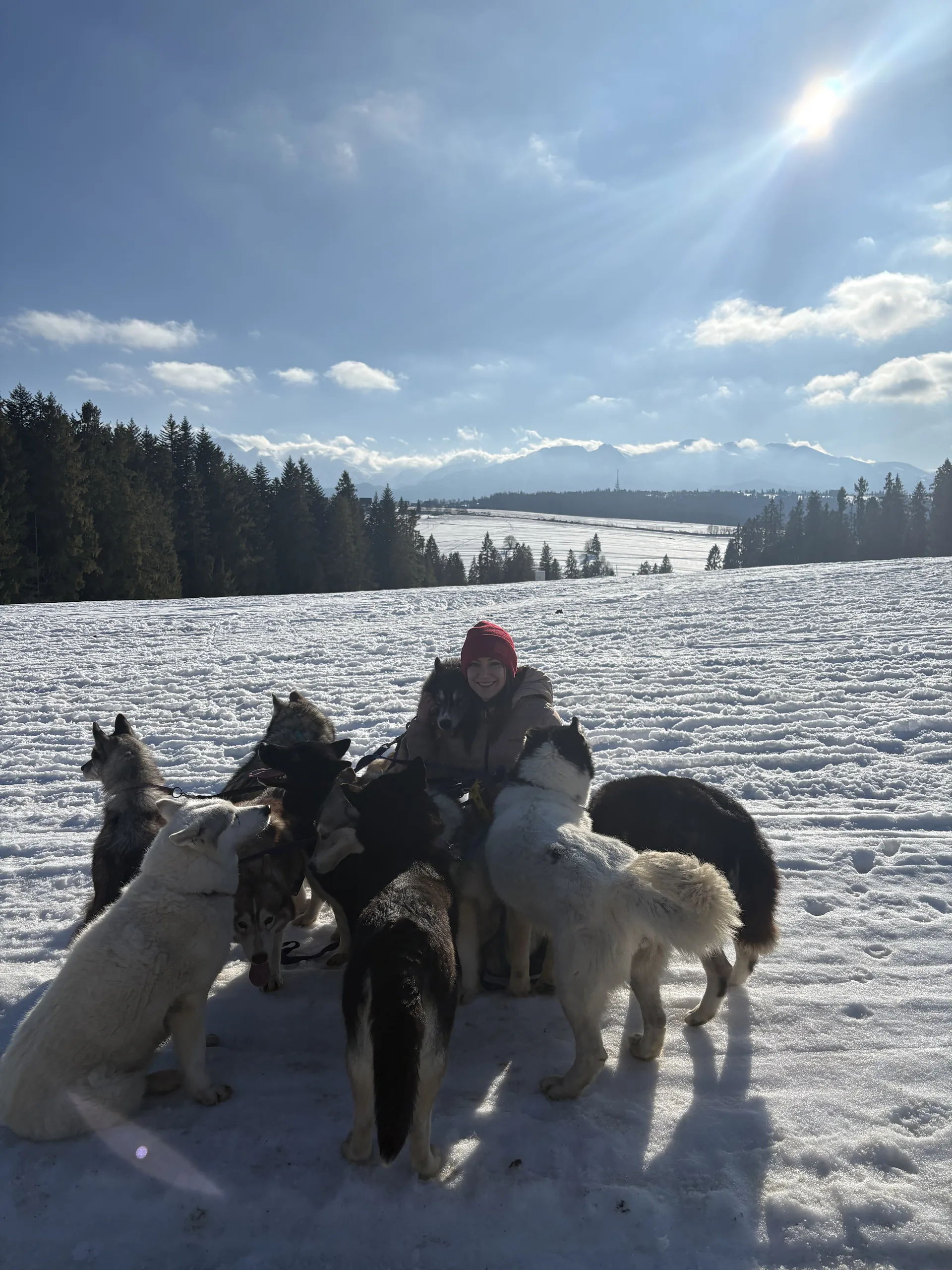 25.01-31.01.2026 Obóz zimowy z psami zaprzęgowymi