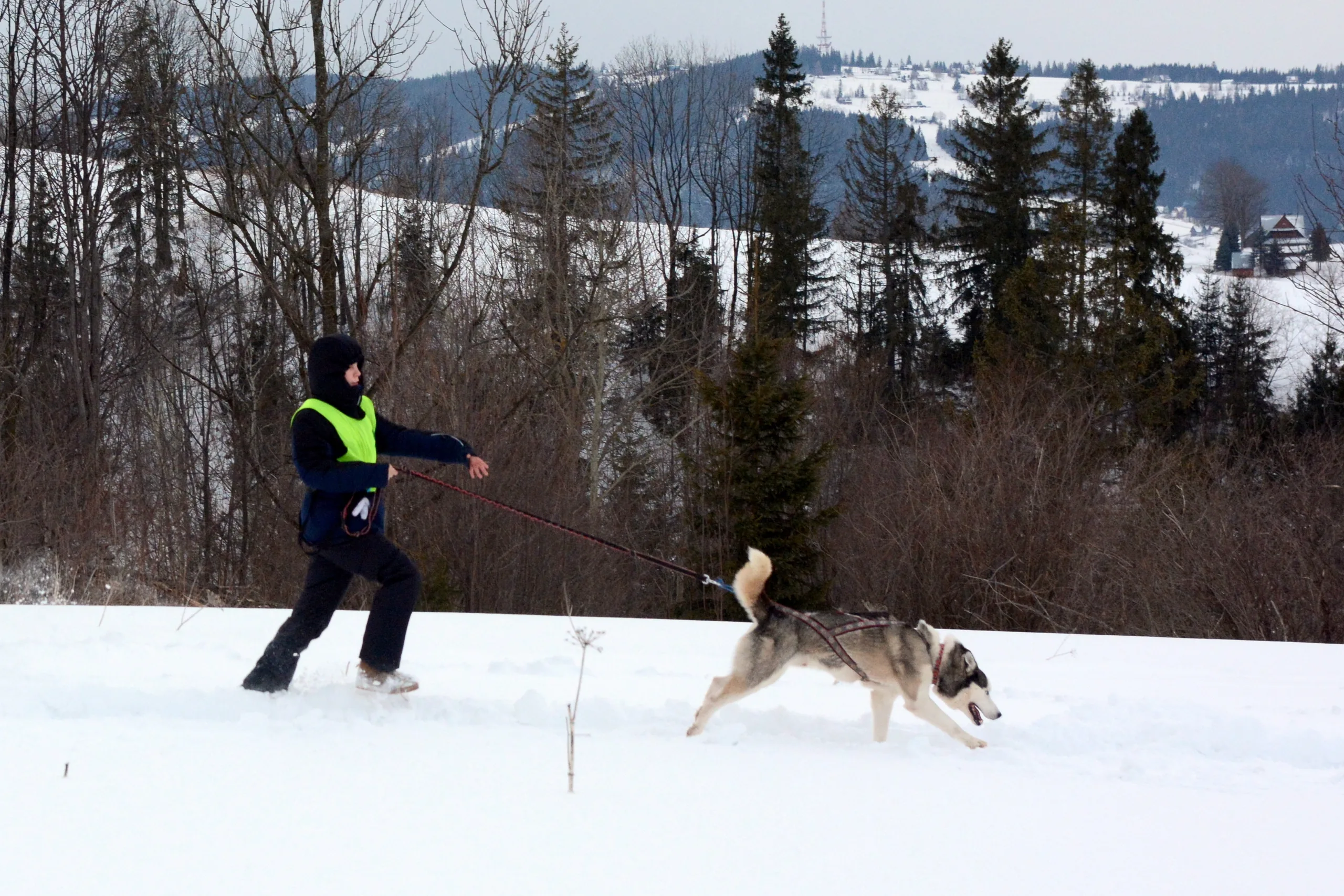 09.02 - 15.02.2020 Obóz rekreacyjno sportowy w Zakopanem