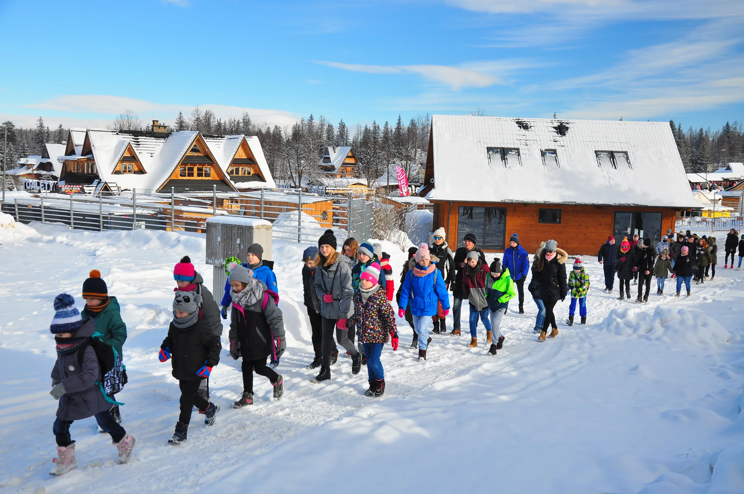 26.01 - 09.02.2019 Obóz zimowy narciarski