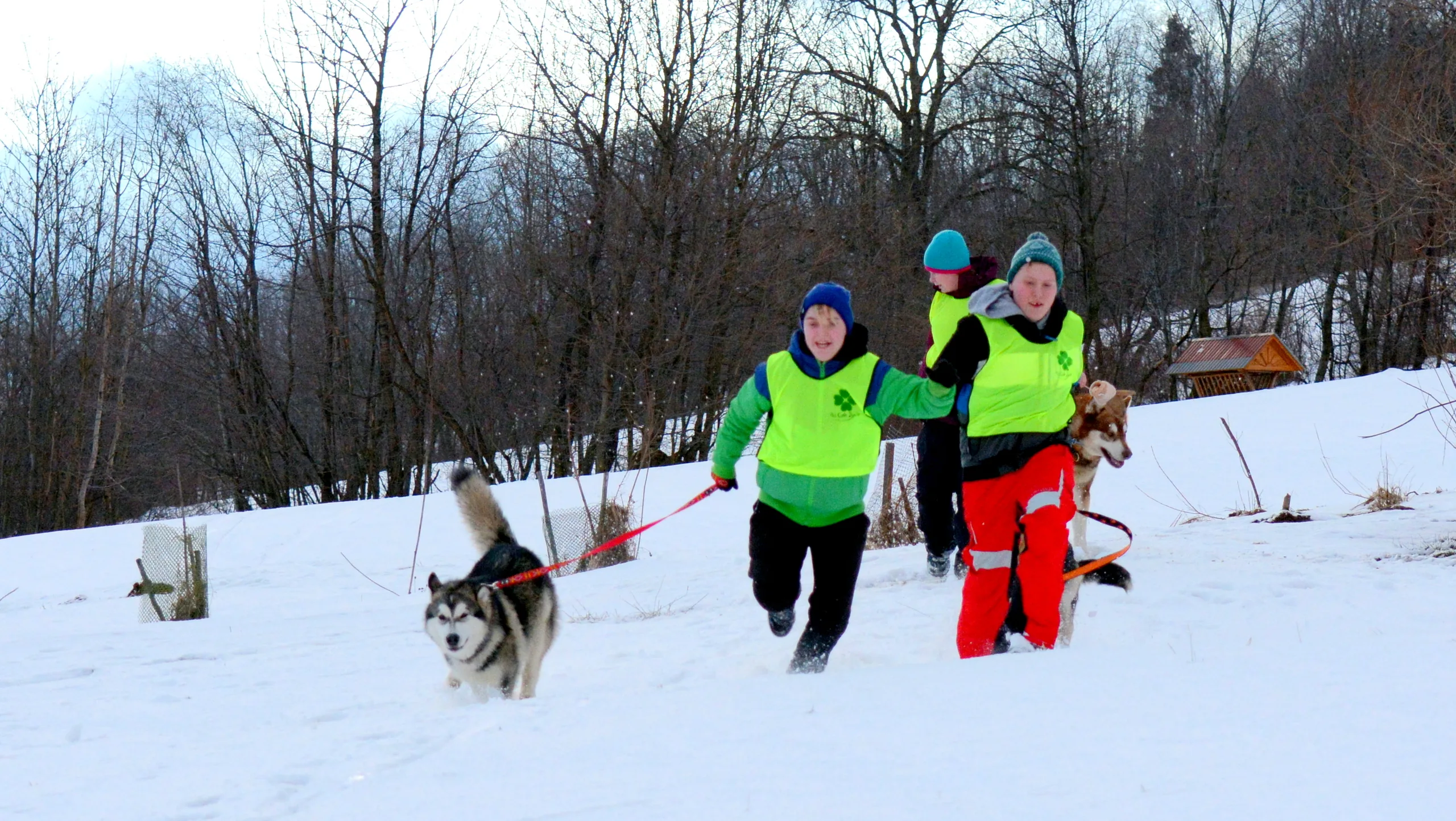 09.02 - 15.02.2020 Obóz rekreacyjno sportowy w Zakopanem