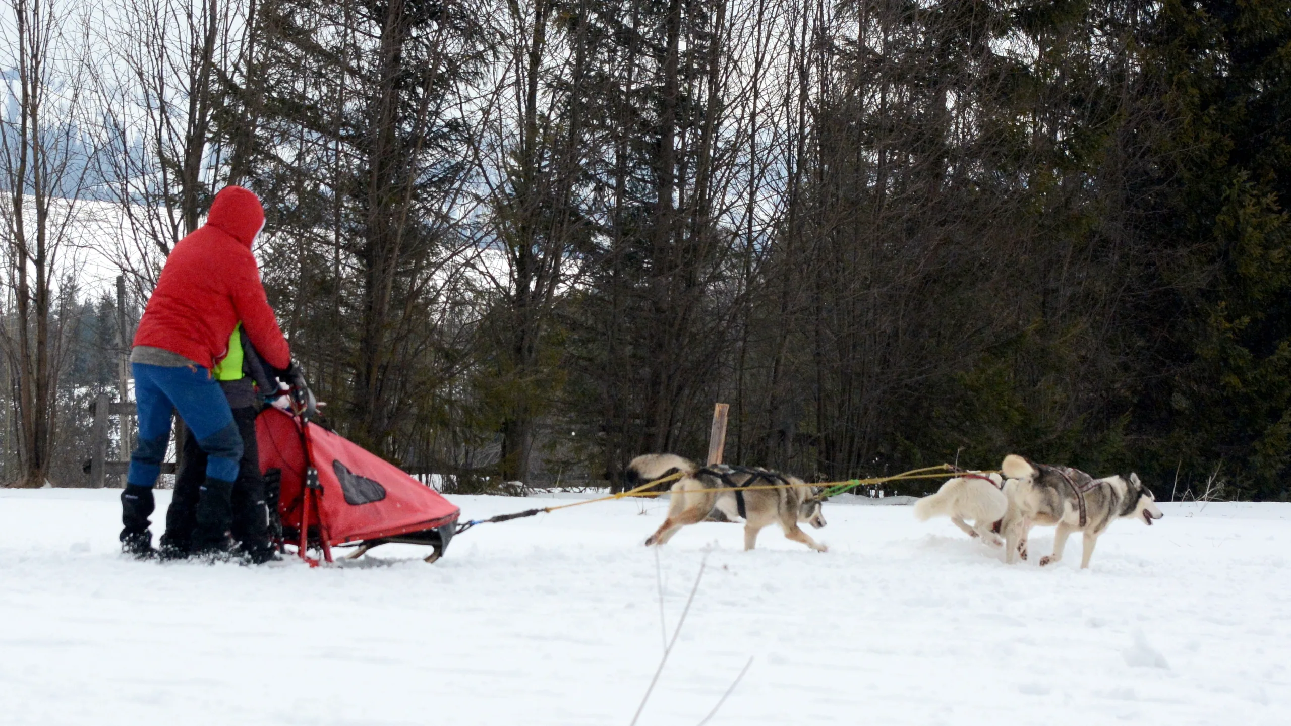 09.02 - 15.02.2020 Obóz rekreacyjno sportowy w Zakopanem