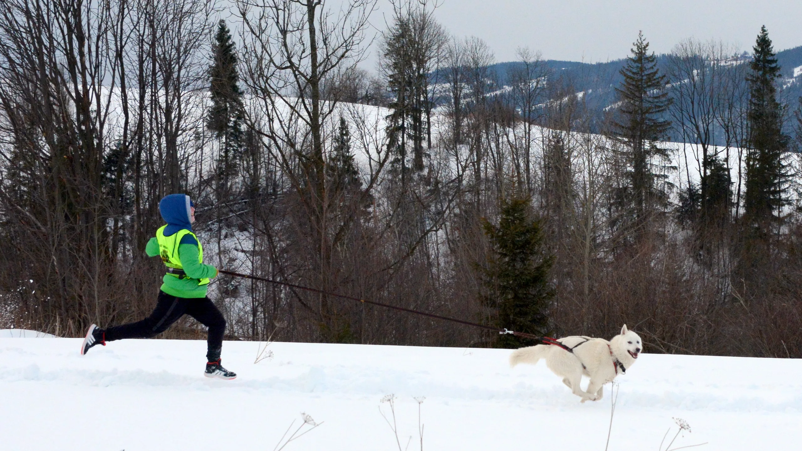 09.02 - 15.02.2020 Obóz rekreacyjno sportowy w Zakopanem