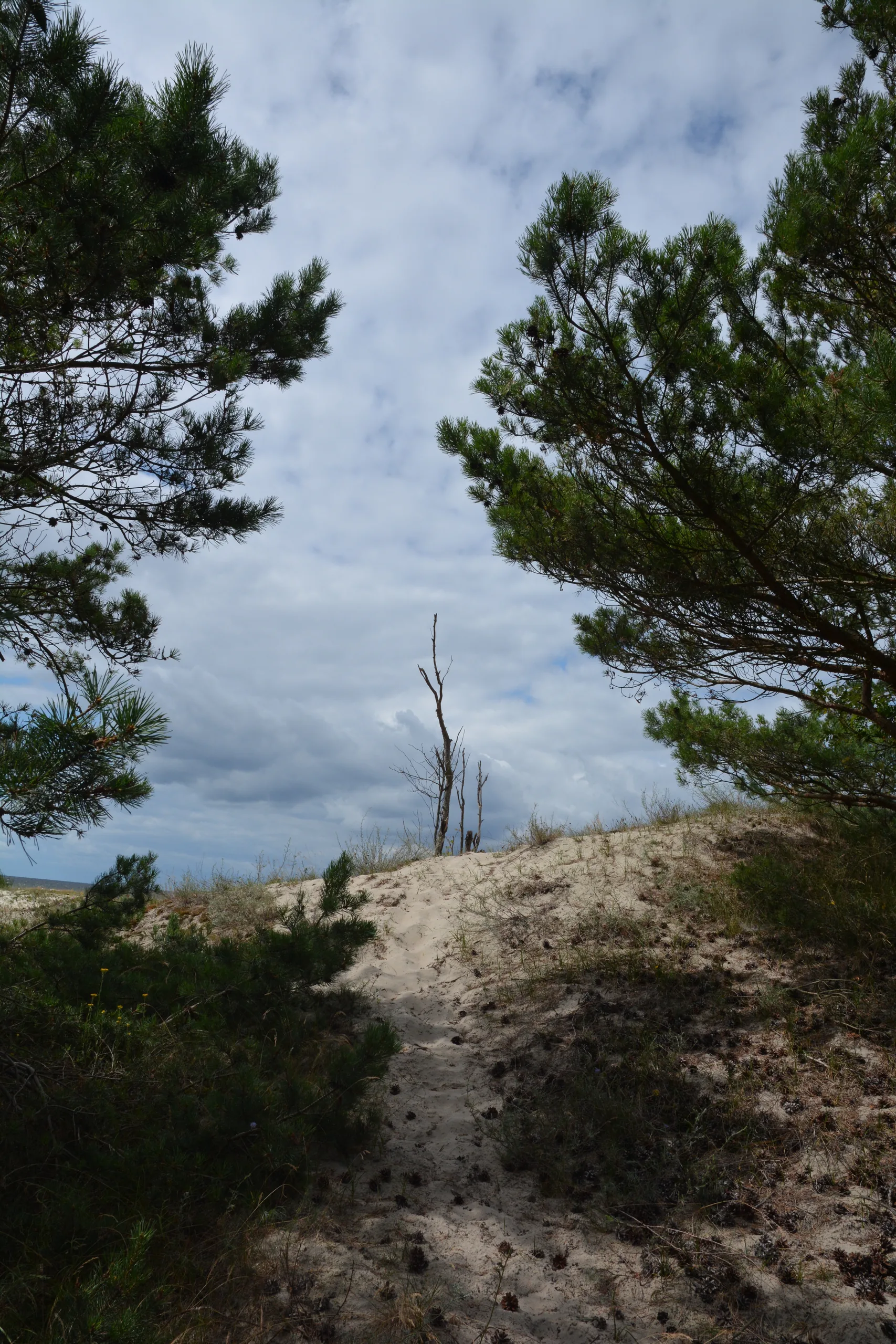 27.07 - 06.08.2020 Obóz rekreacyjno sportowy w Piaskach