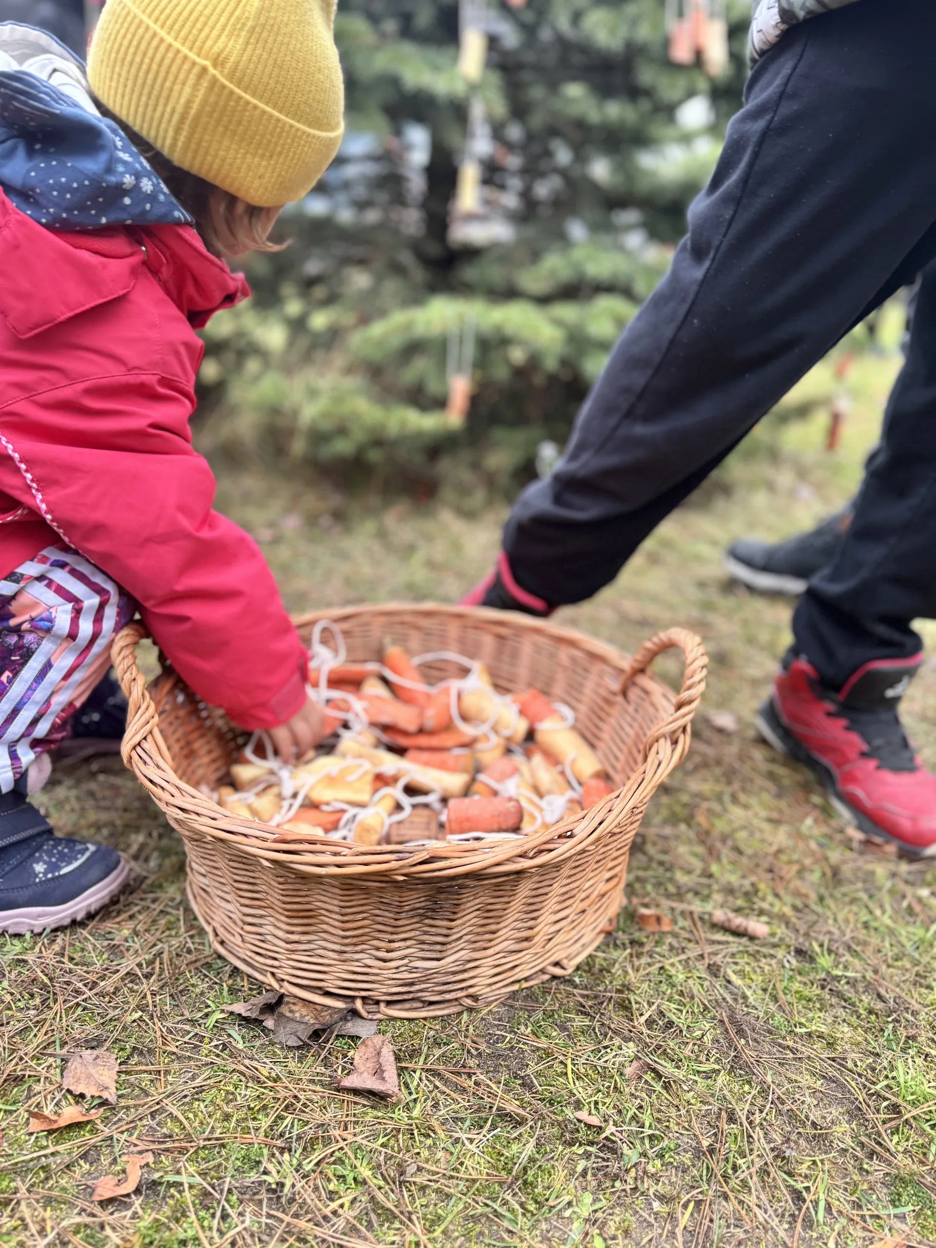 15.10 - 31.12.2025 Łączą Nas Włochy