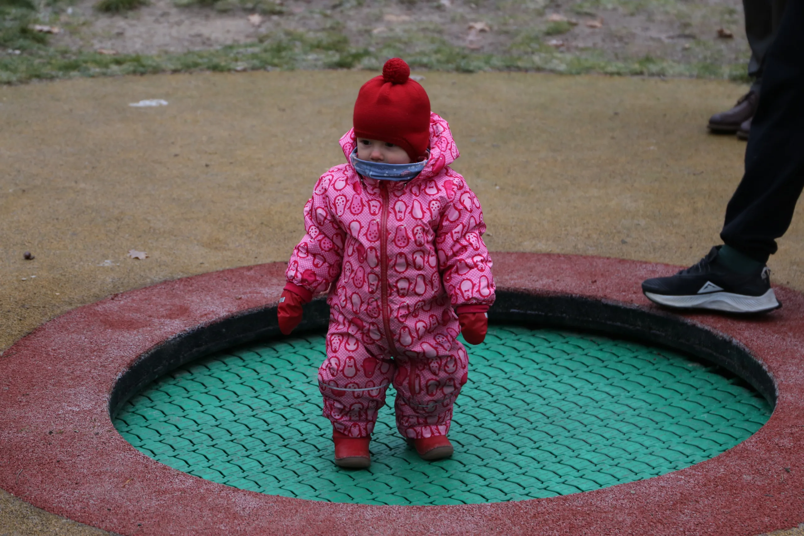 14.12.2024 Świąteczna Impreza w Parku Kultury w Powsinie