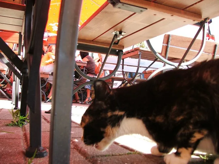 21.06 - 04.07.2009 Obóz rekreacyjny w Stegnie