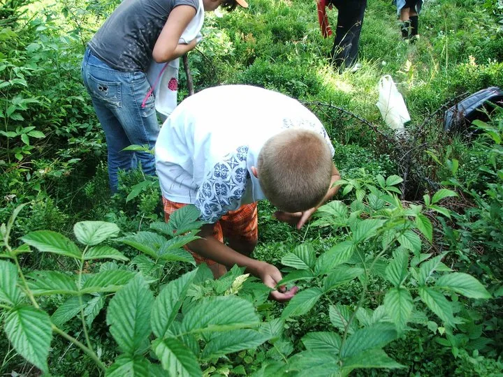 19.07 - 01.08.2009 Obóz rekreacyjny w Ochotnicy Dolnej