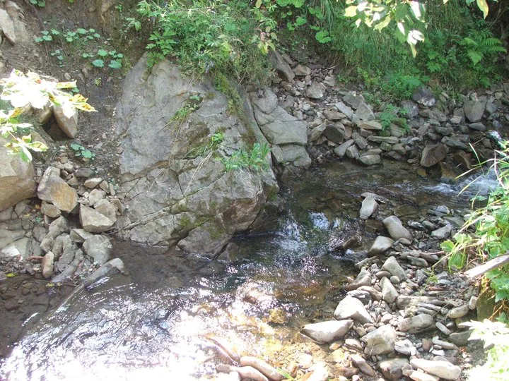 02.08 - 15.08.2009 Obóz rekreacyjny w Ochotnicy Dolnej