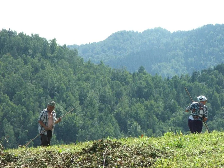 02.08 - 15.08.2009 Obóz rekreacyjny w Ochotnicy Dolnej