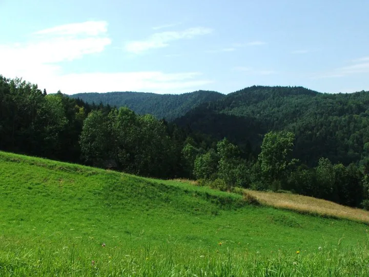 02.08 - 15.08.2009 Obóz rekreacyjny w Ochotnicy Dolnej