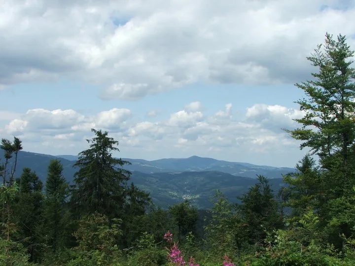 02.08 - 15.08.2009 Obóz rekreacyjny w Ochotnicy Dolnej