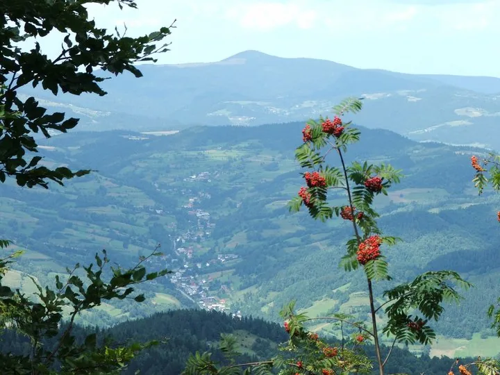 02.08 - 15.08.2009 Obóz rekreacyjny w Ochotnicy Dolnej