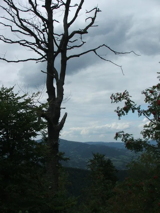 02.08 - 15.08.2009 Obóz rekreacyjny w Ochotnicy Dolnej