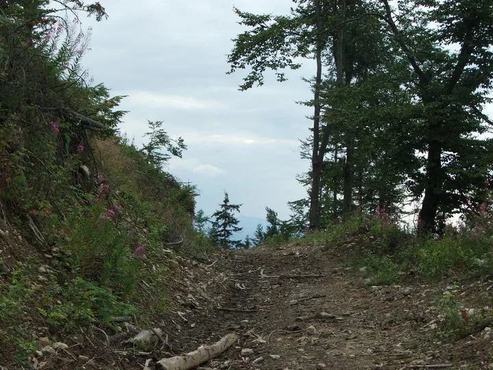 02.08 - 15.08.2009 Obóz rekreacyjny w Ochotnicy Dolnej