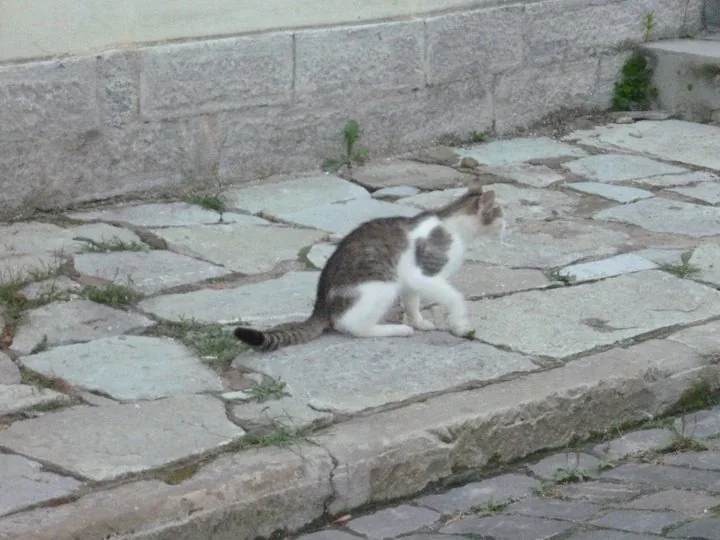 Szlakami Polskich Zabytków - Ukraina