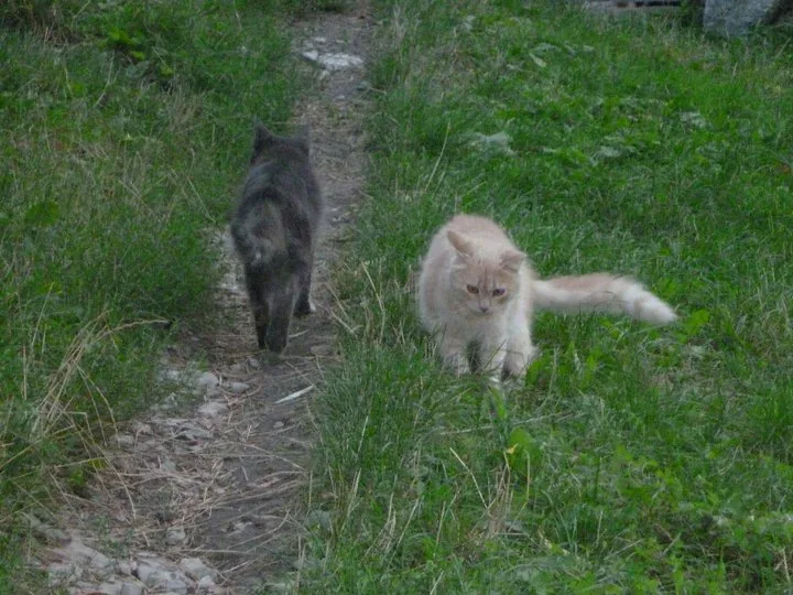 Szlakami Polskich Zabytków - Ukraina