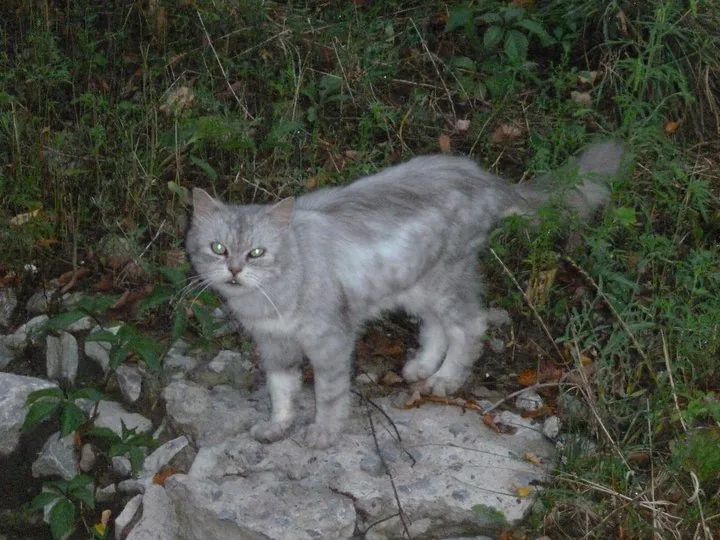 Szlakami Polskich Zabytków - Ukraina