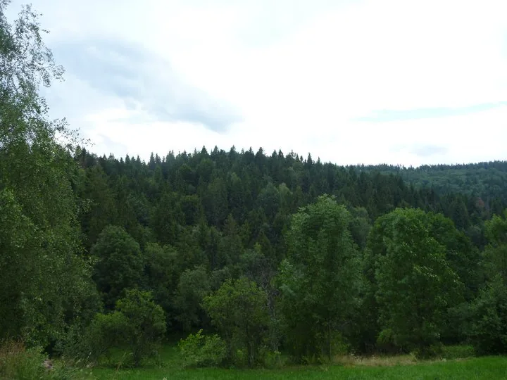 02.08 - 15.08.2009 Obóz rekreacyjny w Ochotnicy Dolnej