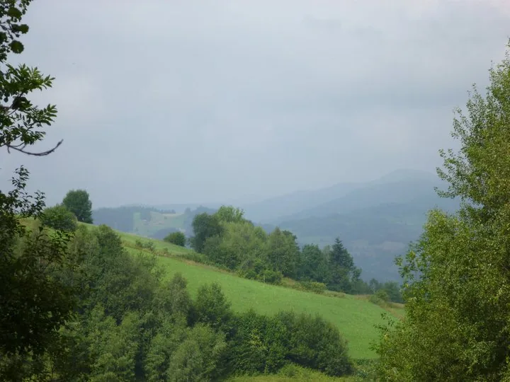 02.08 - 15.08.2009 Obóz rekreacyjny w Ochotnicy Dolnej