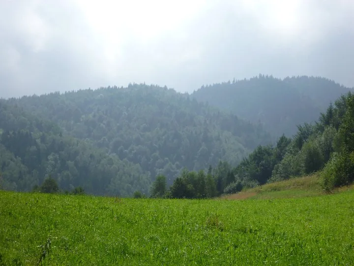 02.08 - 15.08.2009 Obóz rekreacyjny w Ochotnicy Dolnej