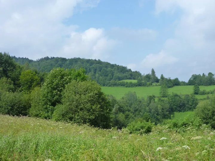 02.08 - 15.08.2009 Obóz rekreacyjny w Ochotnicy Dolnej