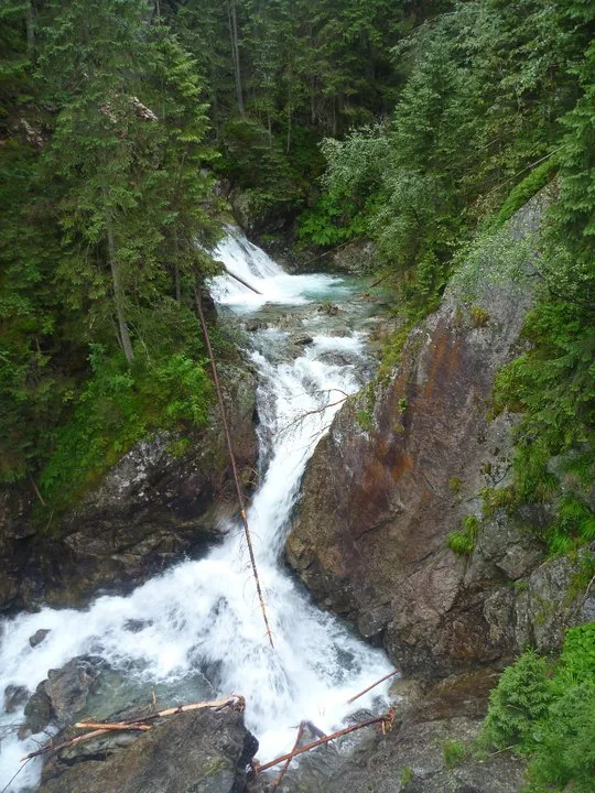 02.08 - 15.08.2009 Obóz rekreacyjny w Ochotnicy Dolnej