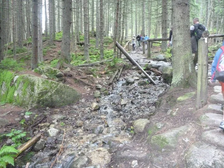 02.08 - 15.08.2009 Obóz rekreacyjny w Ochotnicy Dolnej