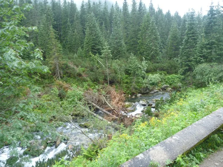 02.08 - 15.08.2009 Obóz rekreacyjny w Ochotnicy Dolnej