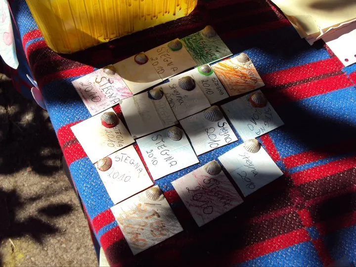 27.06 - 09.07.2010 Obóz rekreacyjny w Stegnie