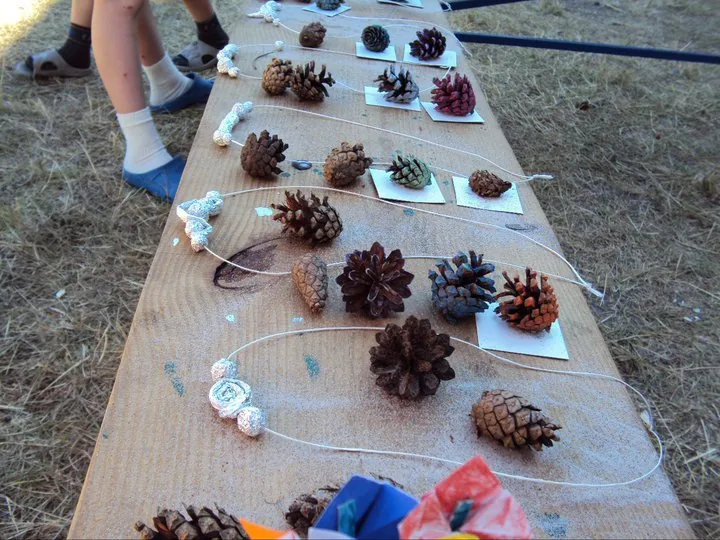 27.06 - 09.07.2010 Obóz rekreacyjny w Stegnie