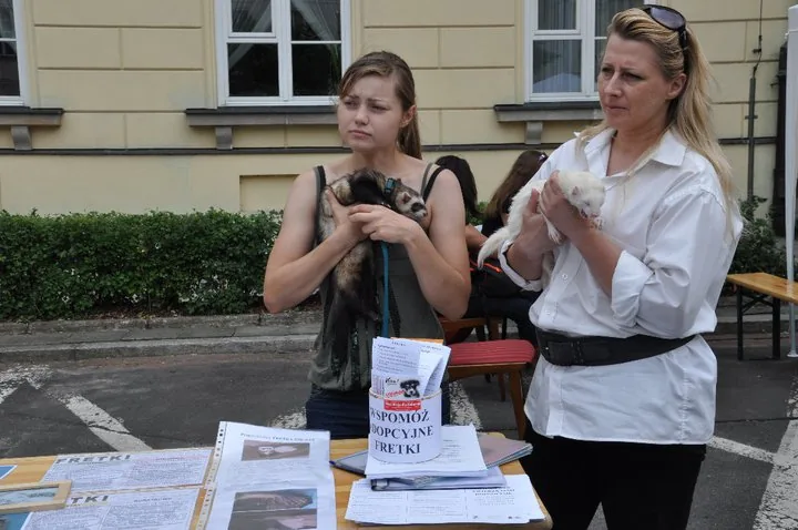 11.06.2011 Mazowiecki Dzień Wolontariatu