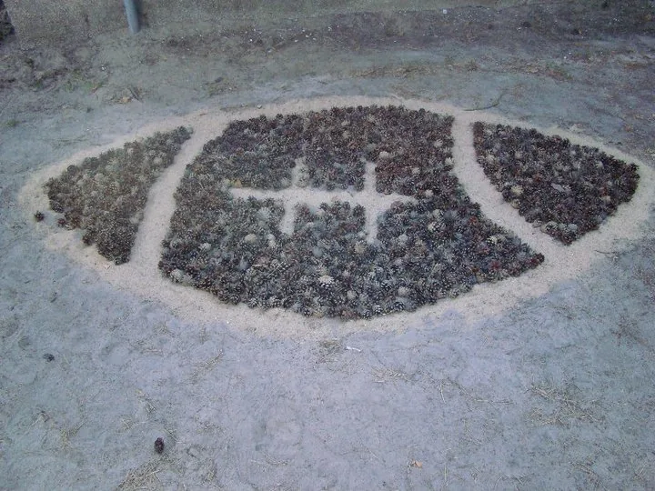 24.06 - 05.07.2011 Obóz rekreacyjny z elementami sportu w Sierakowie