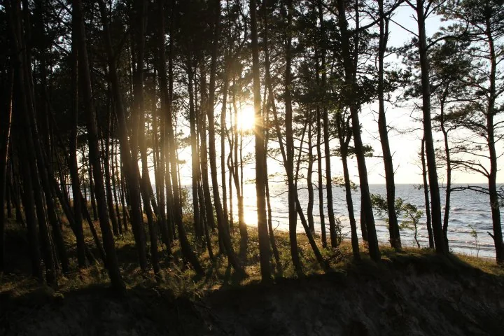 23.07 - 06.08.2011 Obóz rekreacyjny w Stegnie