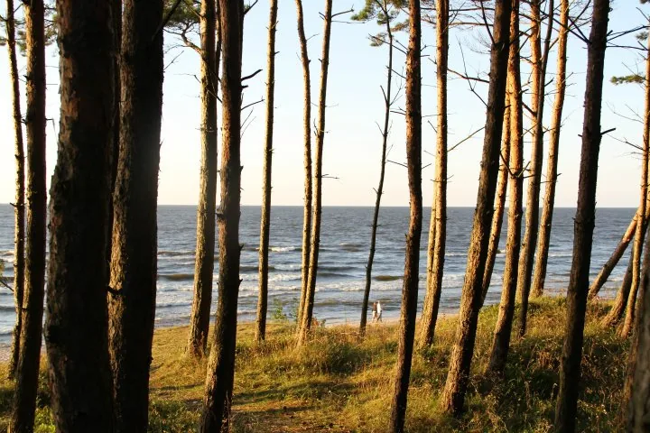 23.07 - 06.08.2011 Obóz rekreacyjny w Stegnie