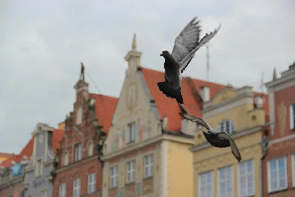 16.07 - 29.07.2012 Obóz rekreacyjny w Stegnie