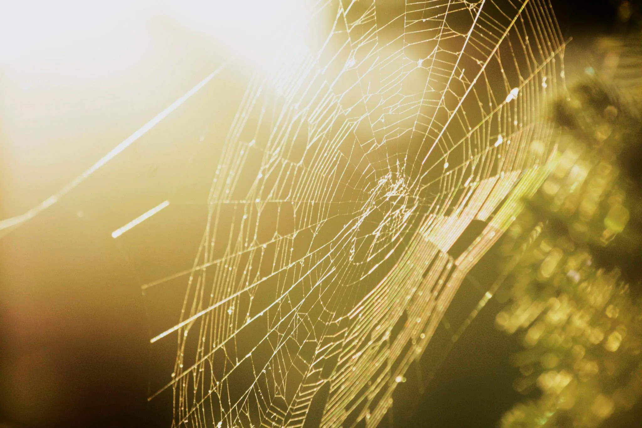 25.08.2012 - 17.05.2013 Świat wokół Nas