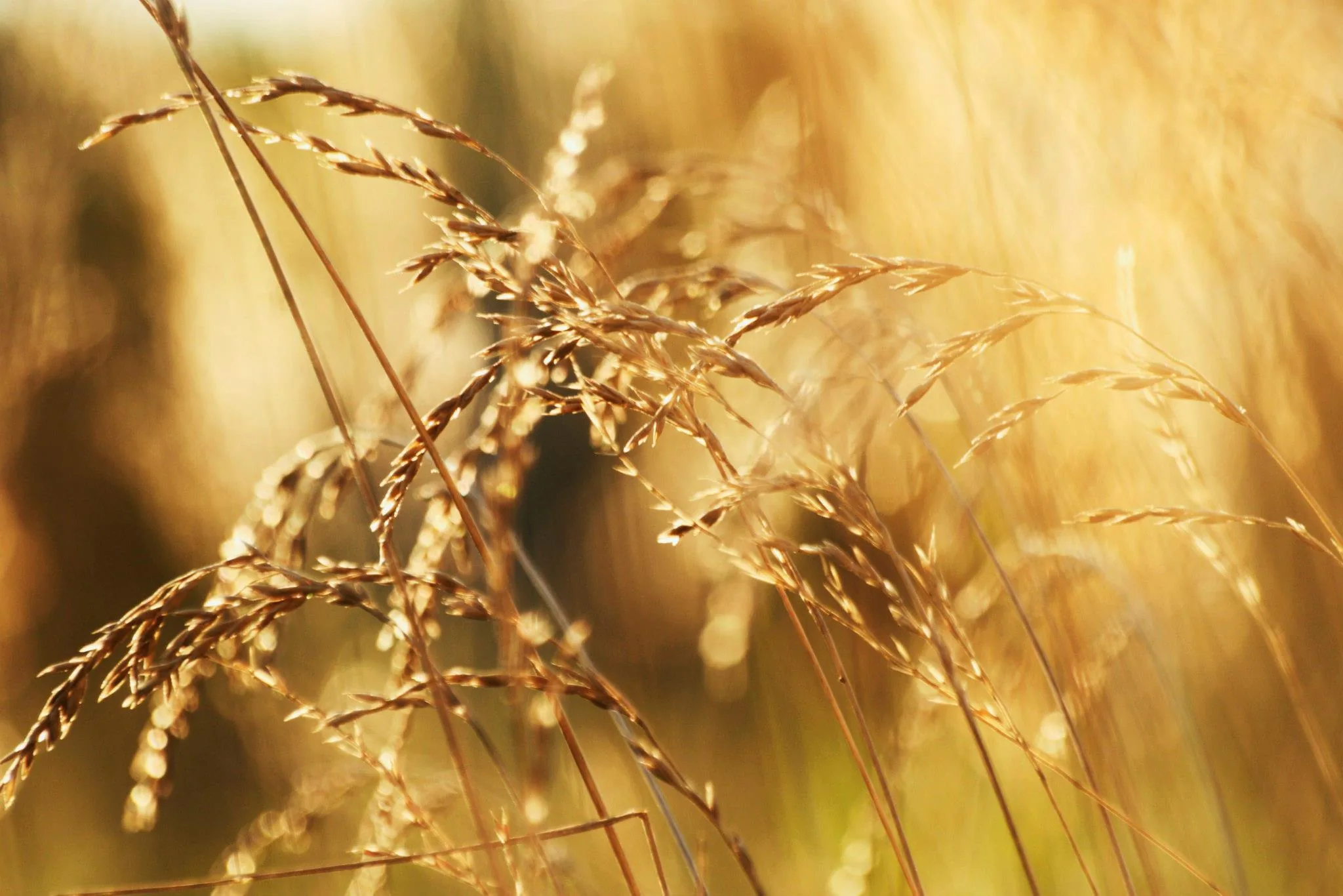 25.08.2012 - 17.05.2013 Świat wokół Nas