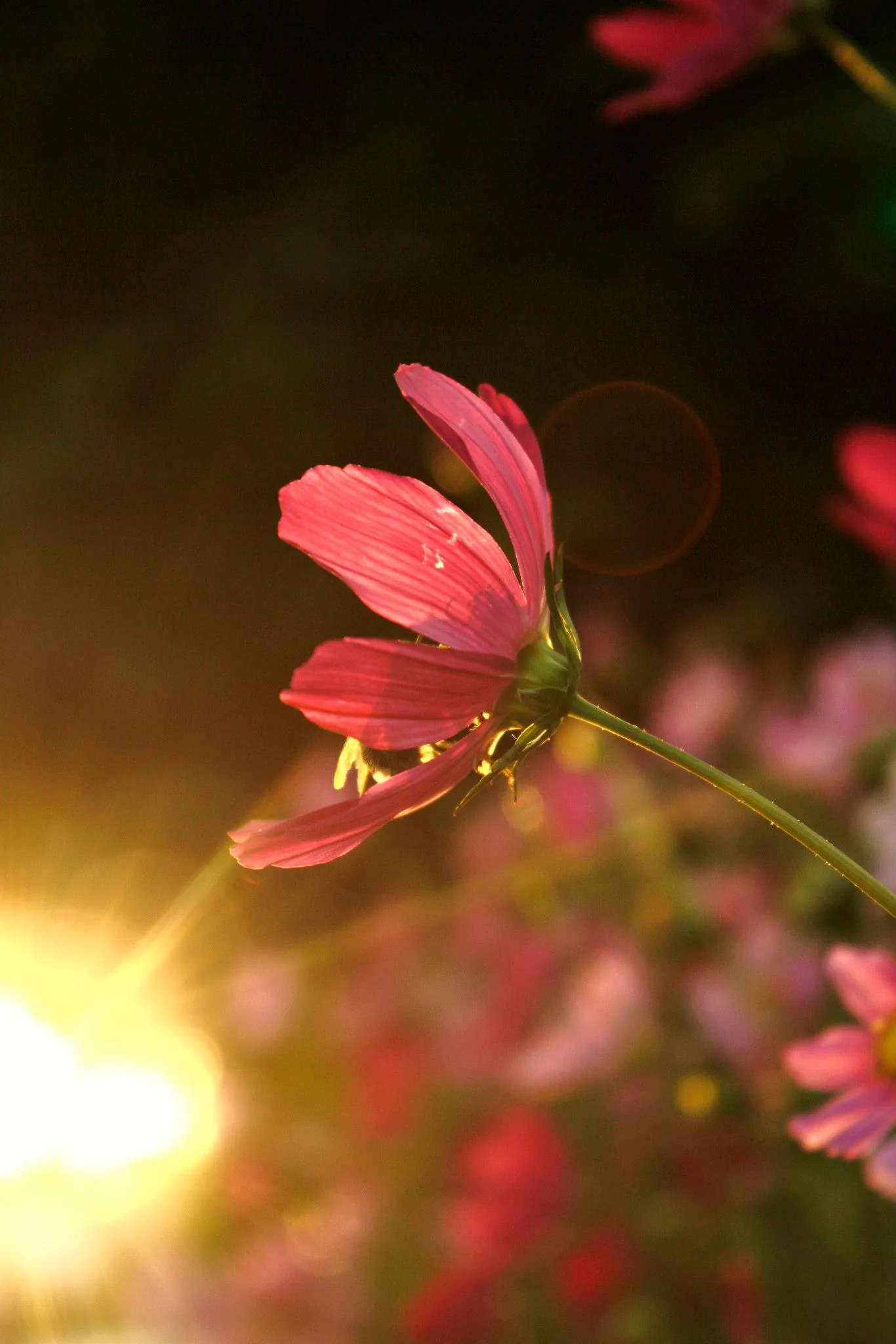 25.08.2012 - 17.05.2013 Świat wokół Nas