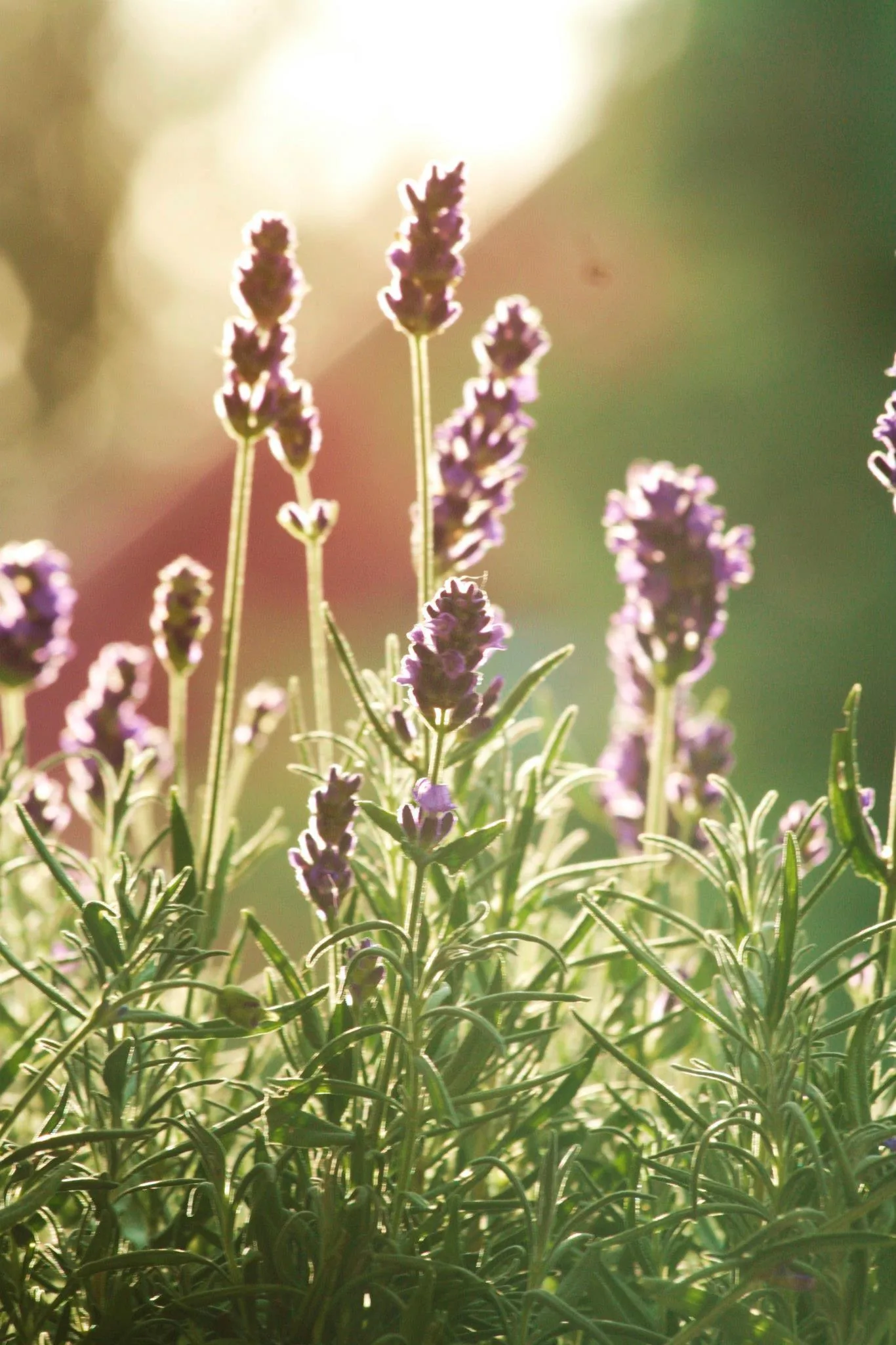 25.08.2012 - 17.05.2013 Świat wokół Nas