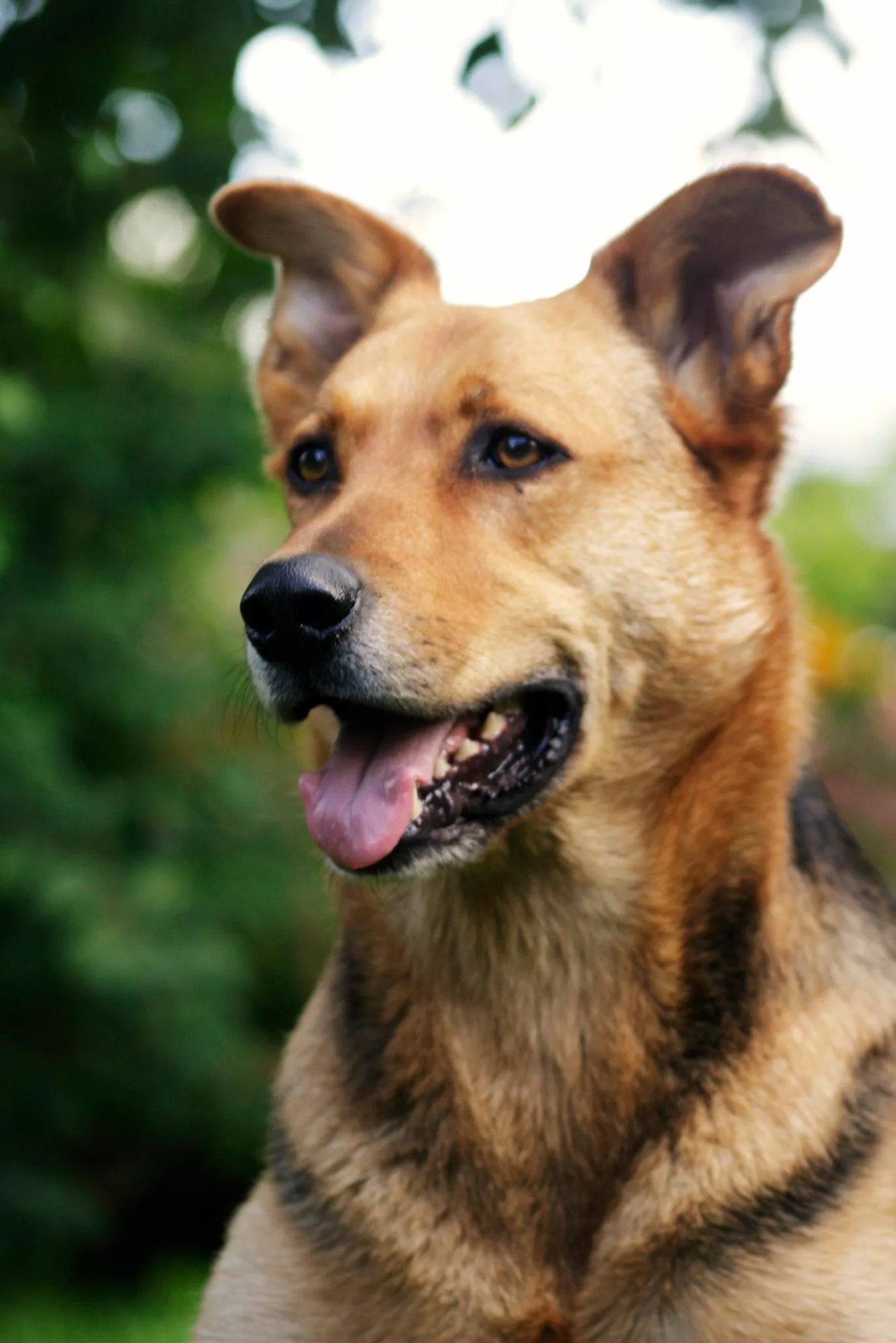 25.08.2012 - 17.05.2013 Świat wokół Nas