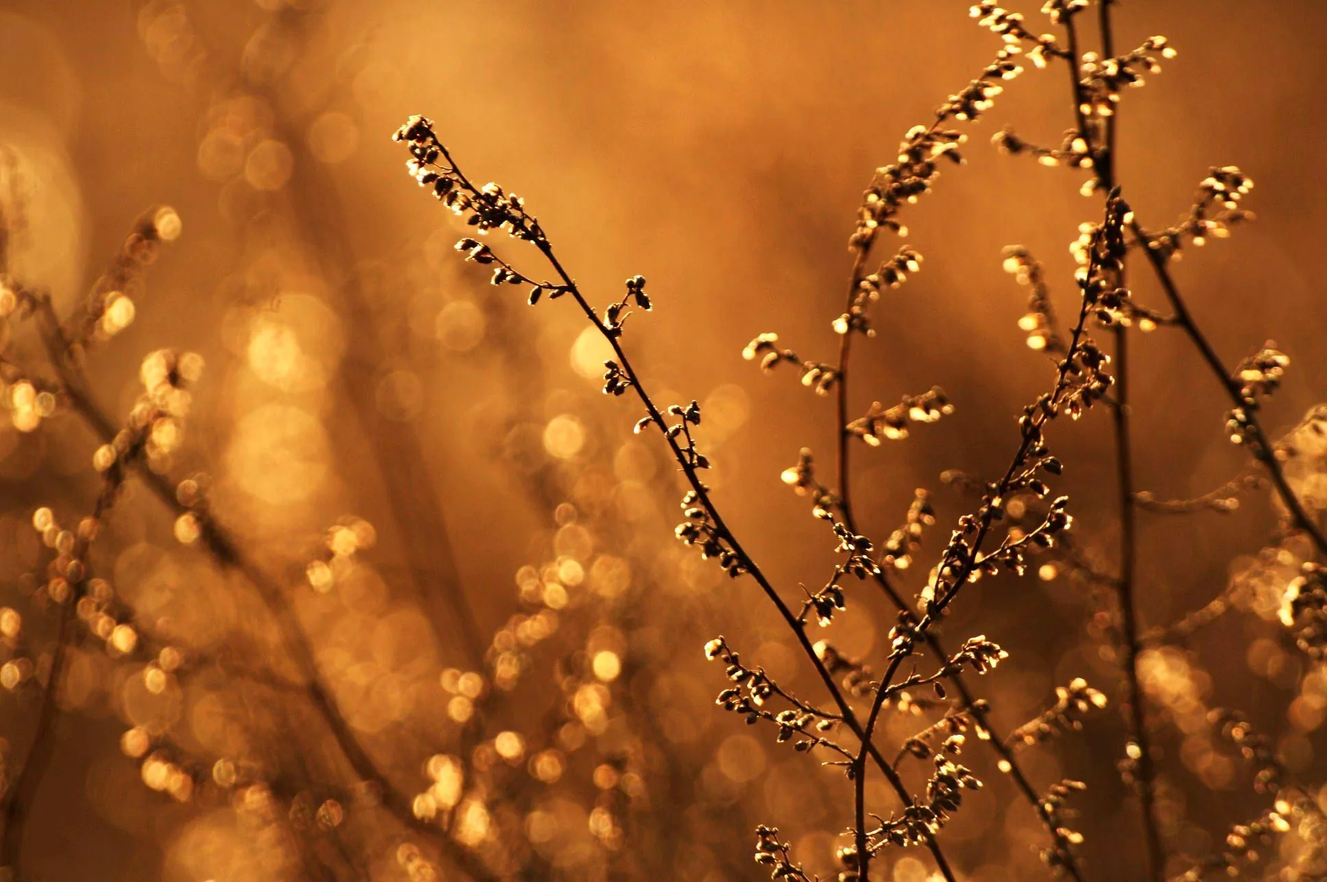 25.08.2012 - 17.05.2013 Świat wokół Nas