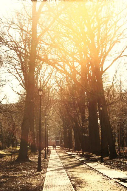 25.08.2012 - 17.05.2013 Świat wokół Nas