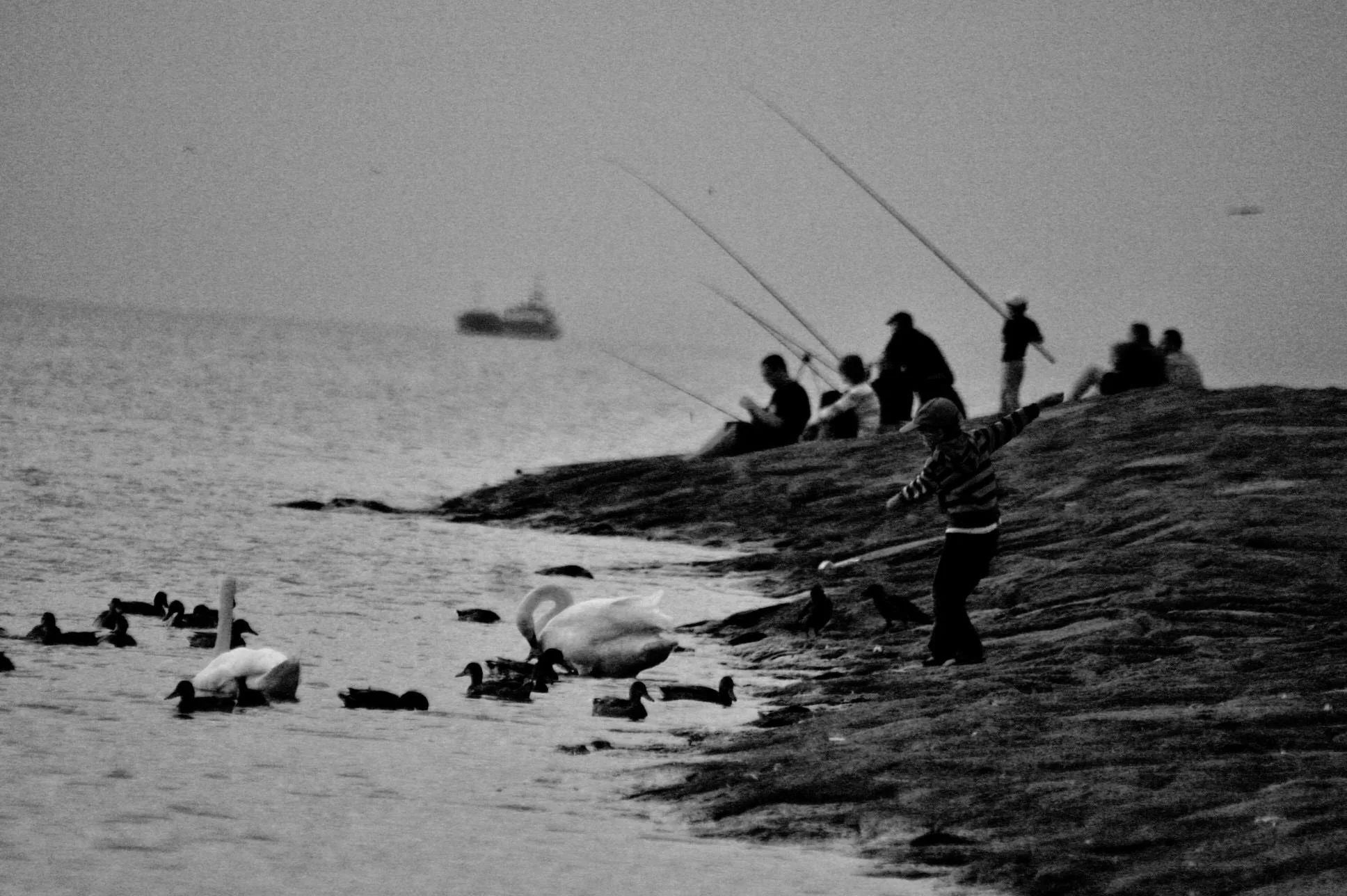 25.08.2012 - 17.05.2013 Świat wokół Nas